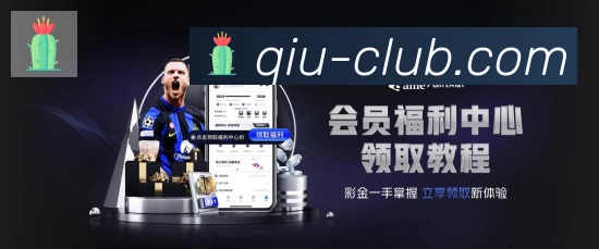 奖项4